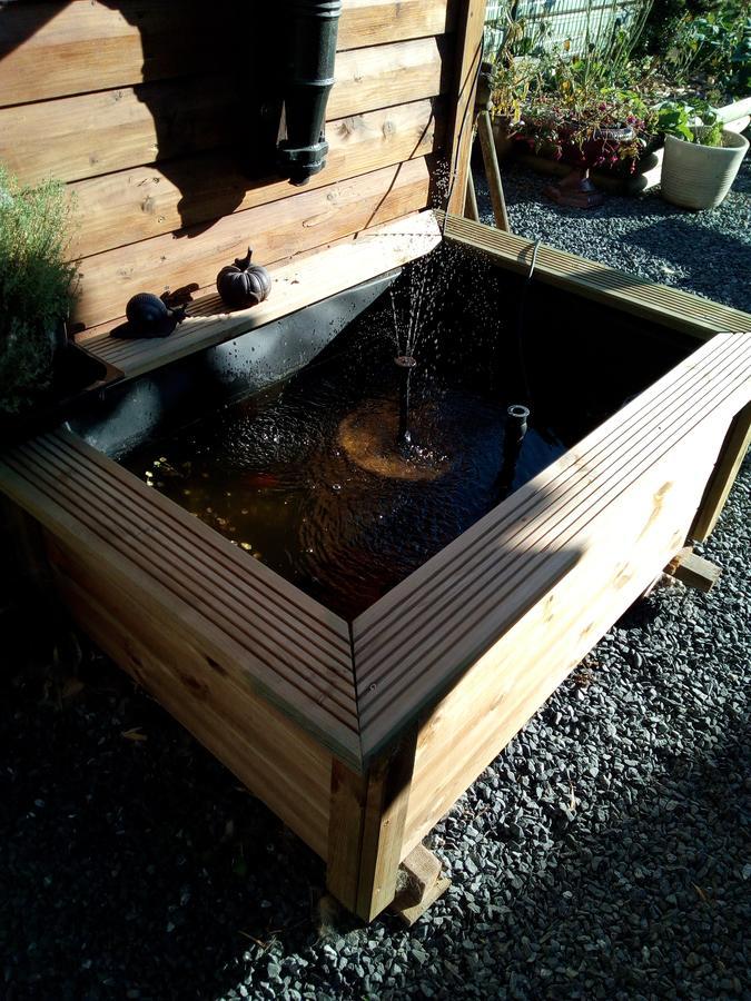 Le Relais Du Moulin Bed and Breakfast Gedinne Buitenkant foto