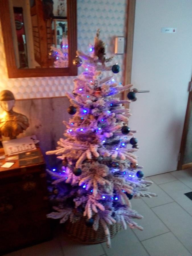 Le Relais Du Moulin Bed and Breakfast Gedinne Buitenkant foto